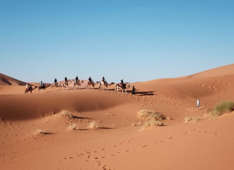 Jaisalmer