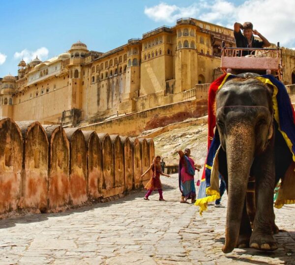 jaipurtourcabservice.com